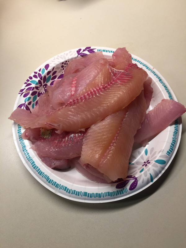 7889C230-1773-464C-A953-90B68F90EE5A