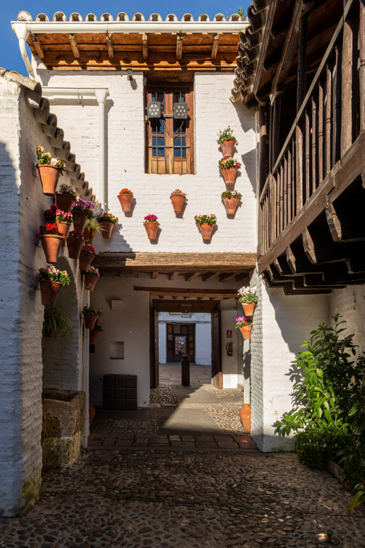 IMG_1673 (FILEminimizer)