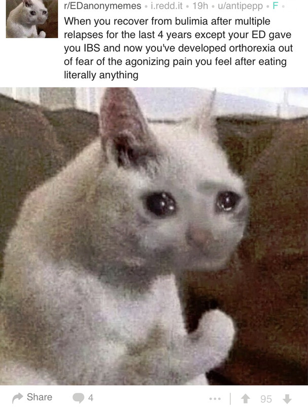 441BEF0D-D963-4827-AD36-5AB081AFAB52