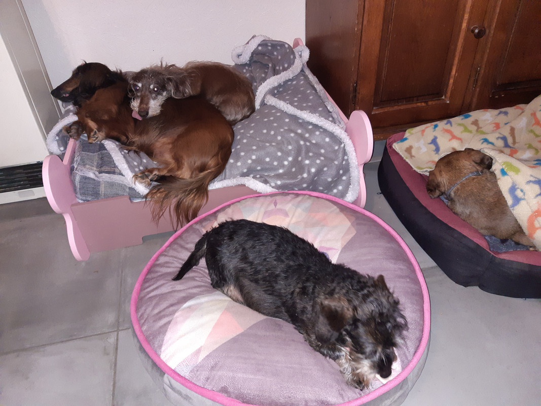 [Image: 20201110-180905.jpg]