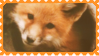 made by @transmascgarfield on tumblr