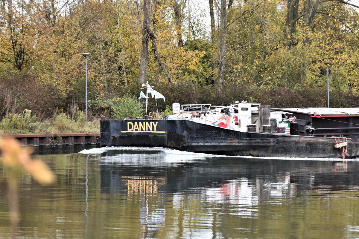 2021.10.31ia Danny (1940x1293)