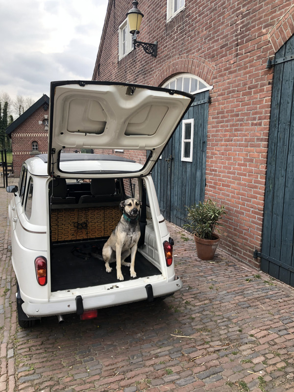 6FE22AE6-F30C-49A3-9D5B-066215789501