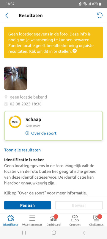 Afbeelding