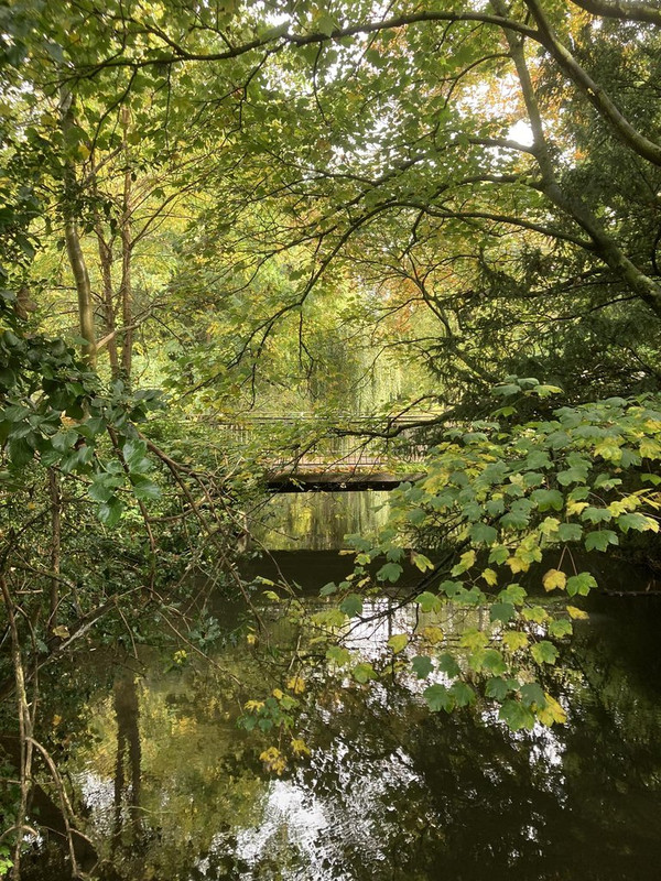 green-bridge-river-park.jpg
