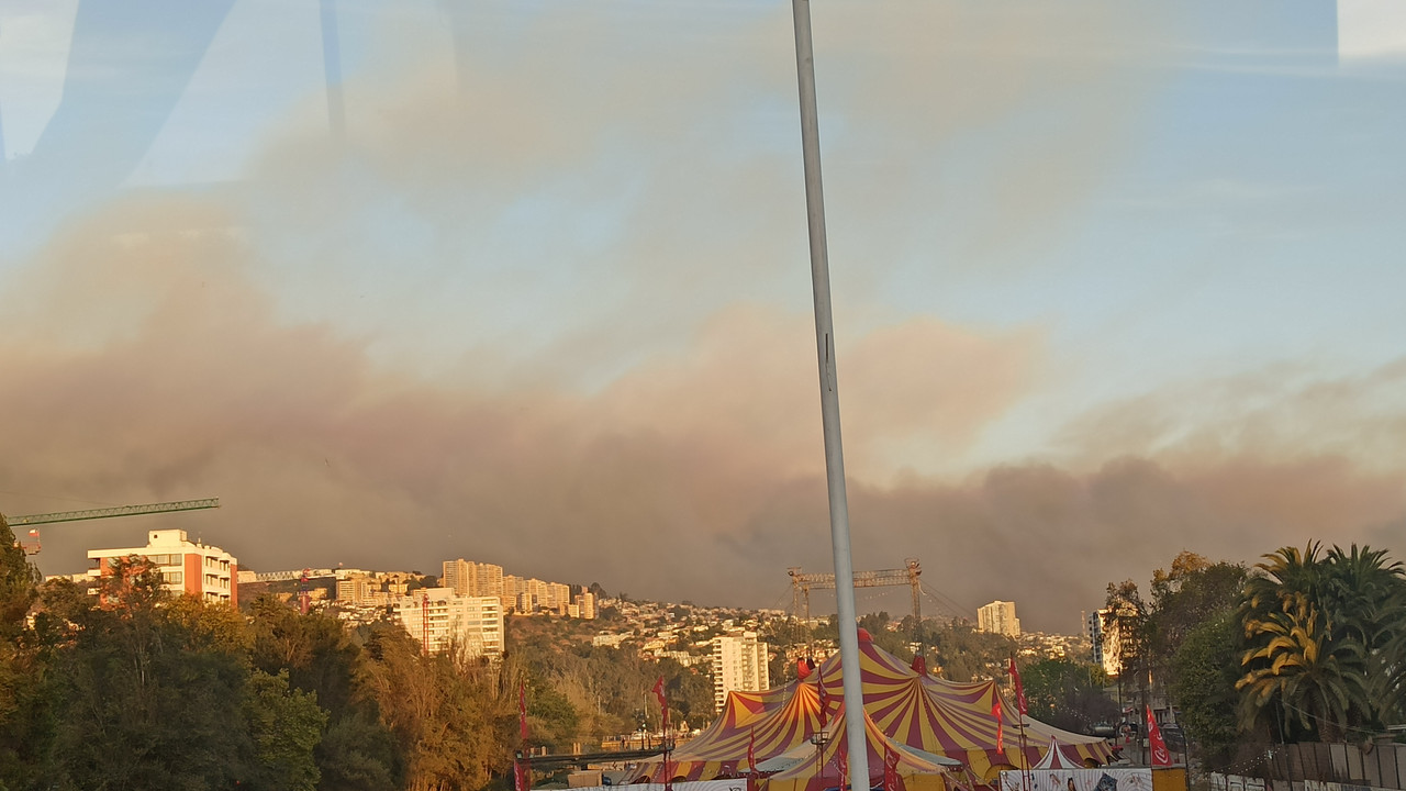 IMG-20240202-201450.jpg