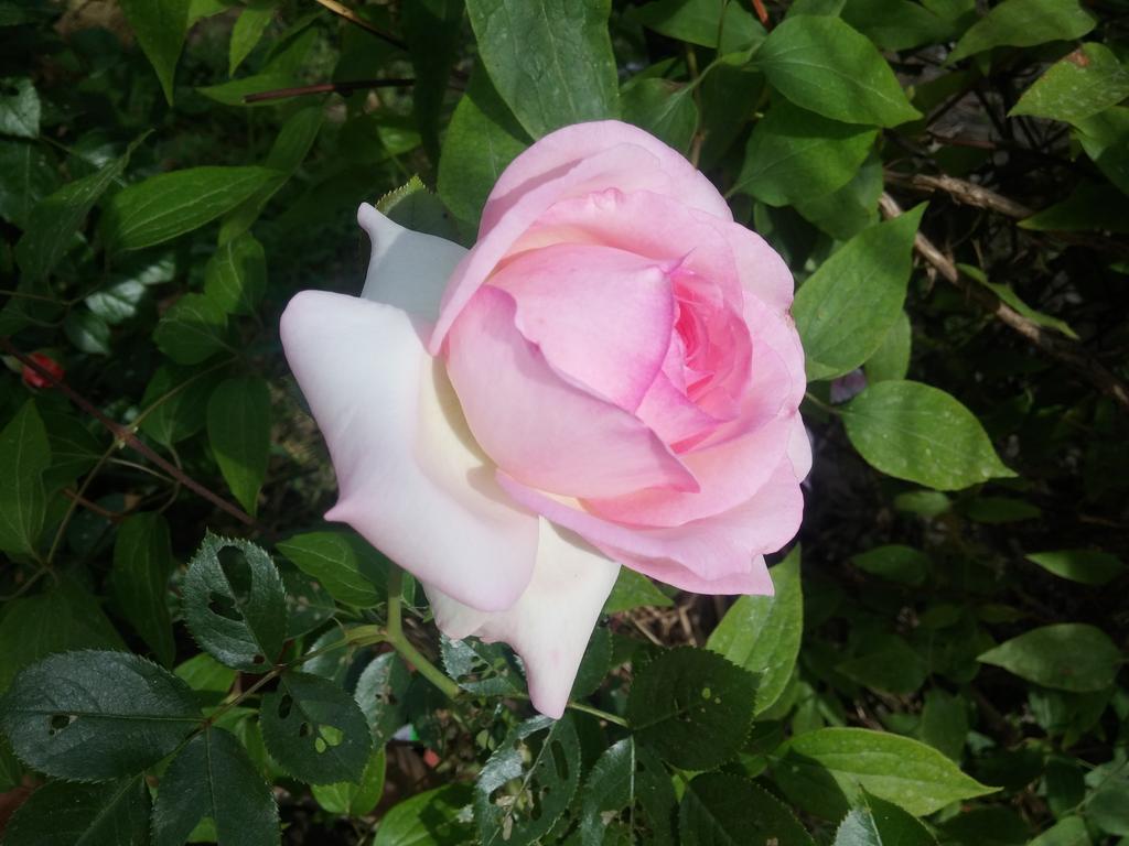 20190501_164300