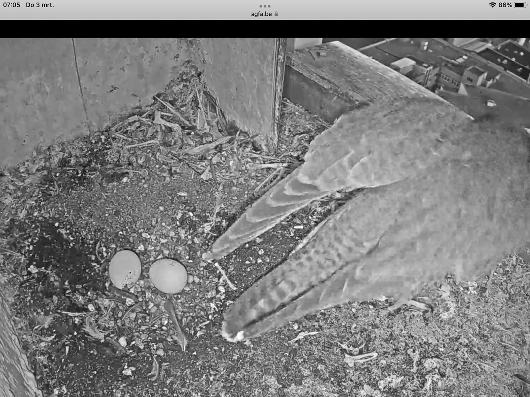 1B5E6A5C-8C27-4C46-BCFD-3BE0CBCDB8C7