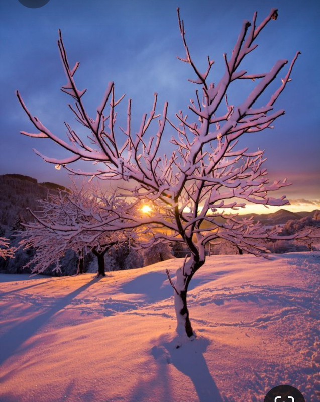 Screenshot_20231019_201242_Pinterest