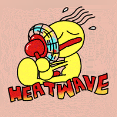 Heatwave