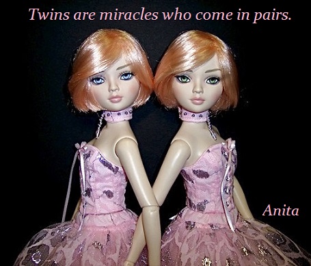 twinsanita