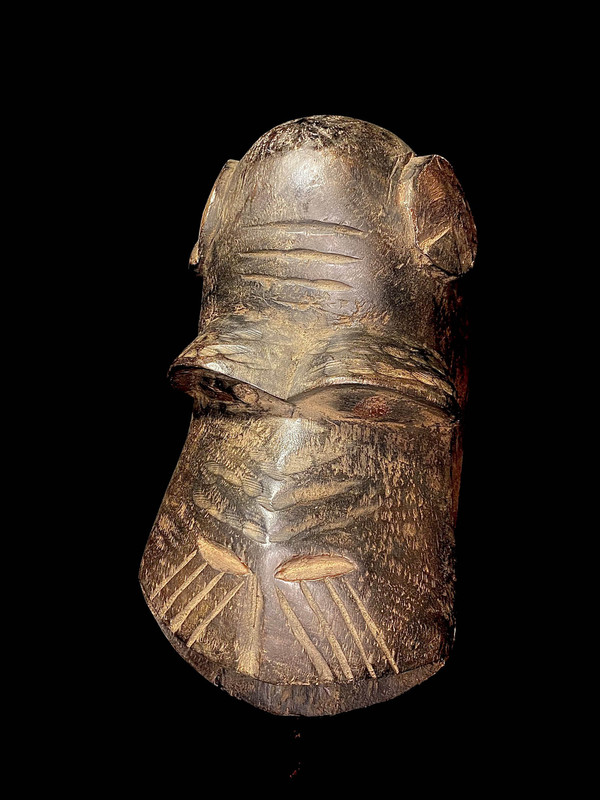 large image 6