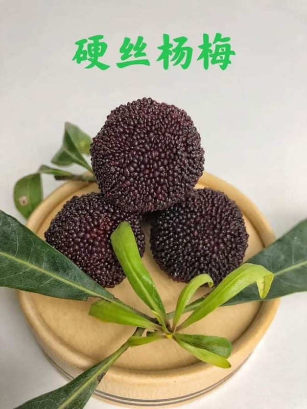 213332E0-8DA2-4280-A1BA-B9BB4F09B0C5