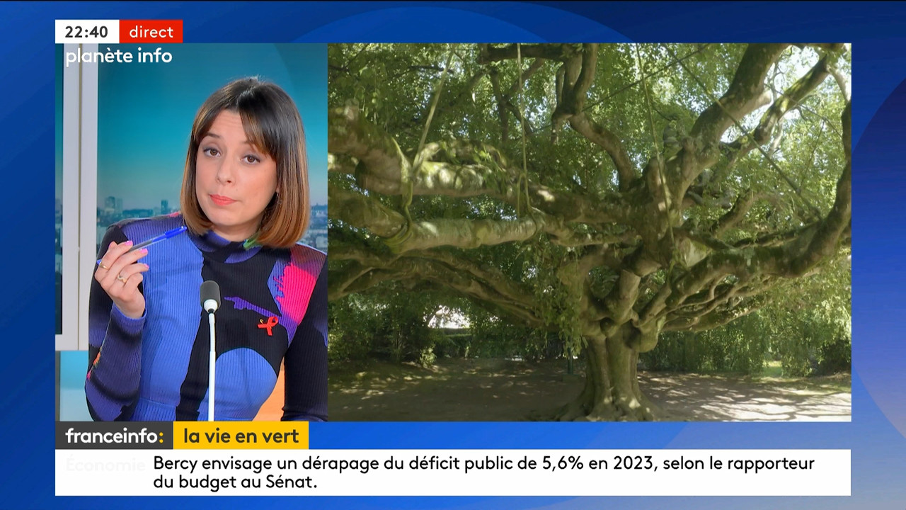 Planète info (Franceinfo)_2024_03_21_20_53_27.ts_snapshot_00.48.21.962