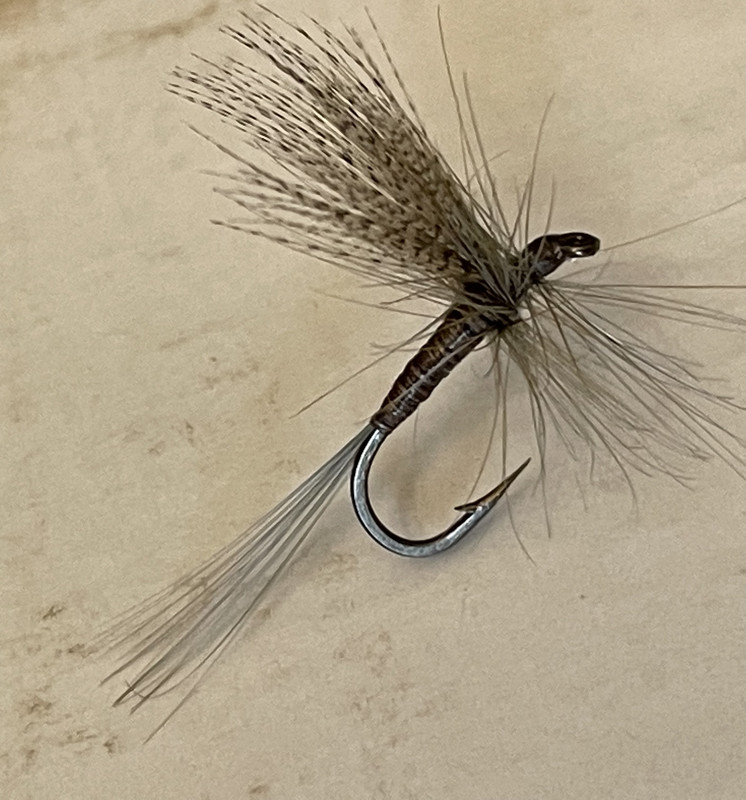 D6F31B72-4BBC-4EE5-87CE-BC56A5C839C6