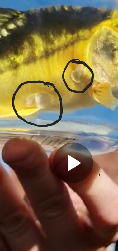 94CA3212-0278-4A9E-AE5C-515B1B9FF017