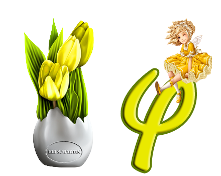 Tulipanes amarillos Y
