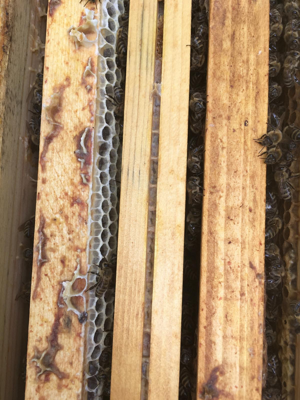 CBB7D750-E5C8-4FAB-9752-168D22F44E71