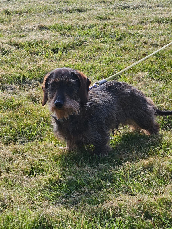 [Image: IMG-20250319-WA0008.jpg]