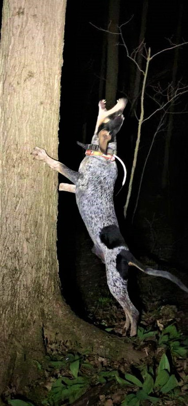 Resized_IMG_4513 (1)