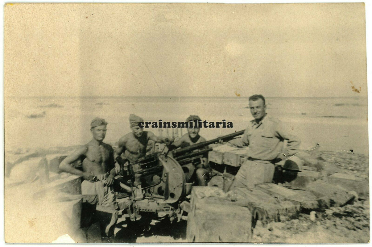 Orig. Foto DAK Soldaten m. Heeresflak Flak Geschütz in Stellung in Afrika2