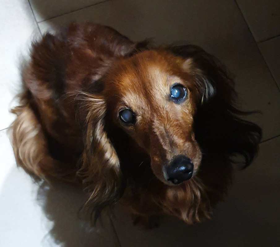 [Image: 20201026-203136.jpg]