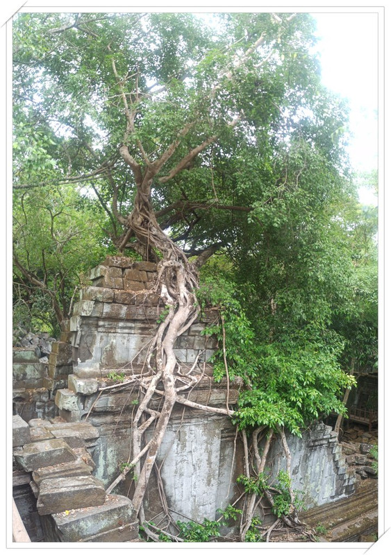 Angkor III. Beng Mealea y traslado a Phnom Penh. - De la bahía de Halong a los templos de Angkor (14)