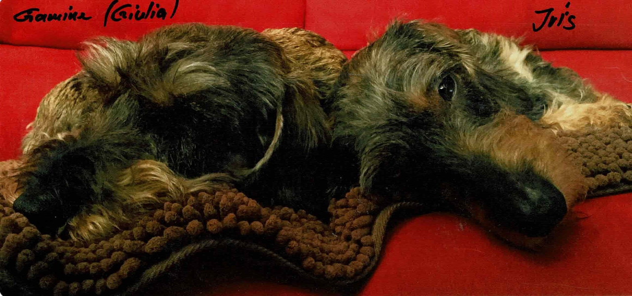 [Image: Num-risation-20210210.jpg]