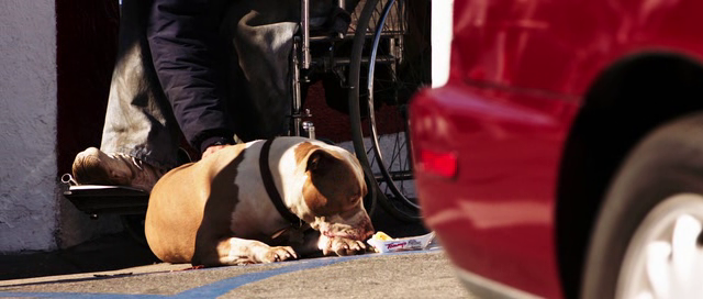 vlcsnap-2013-12-13-14h14m46s207