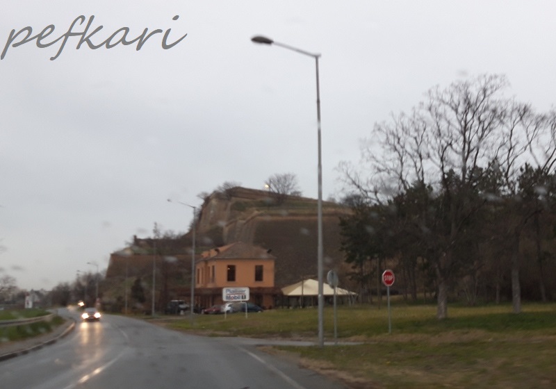Slika