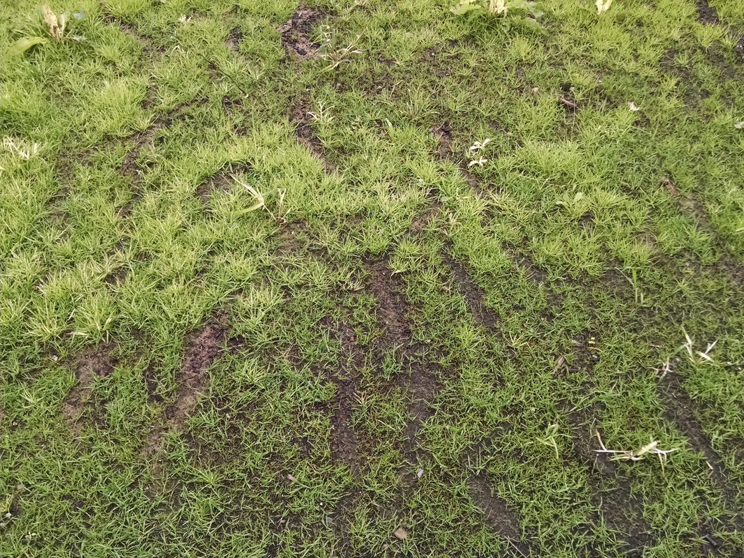 IMG_20160917_102317695