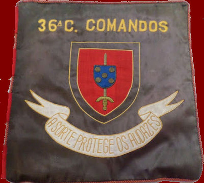 36-CCmds-600