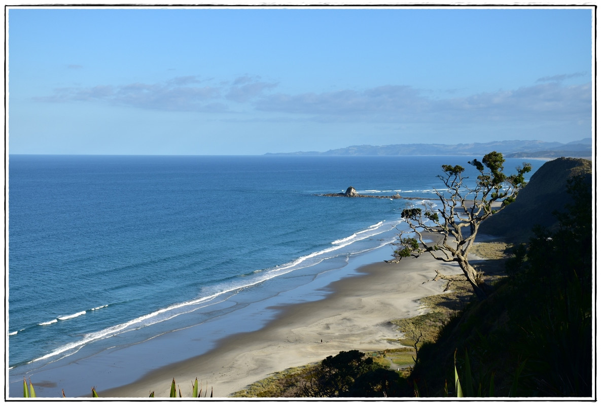 Escapadas y rutas por la Nueva Zelanda menos conocida - Blogs de Nueva Zelanda - Diez días de roadtrip por Northland en caravana (febrero 2021) [I] (3)