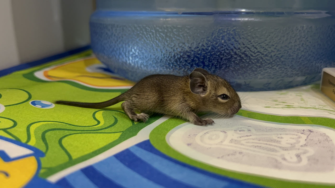 C2CB0983-F28B-40D4-9F85-73E707F7D0C6