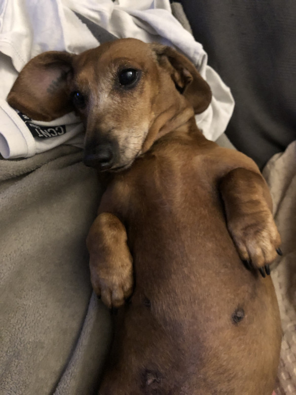 [Image: IMG-3132.jpg]