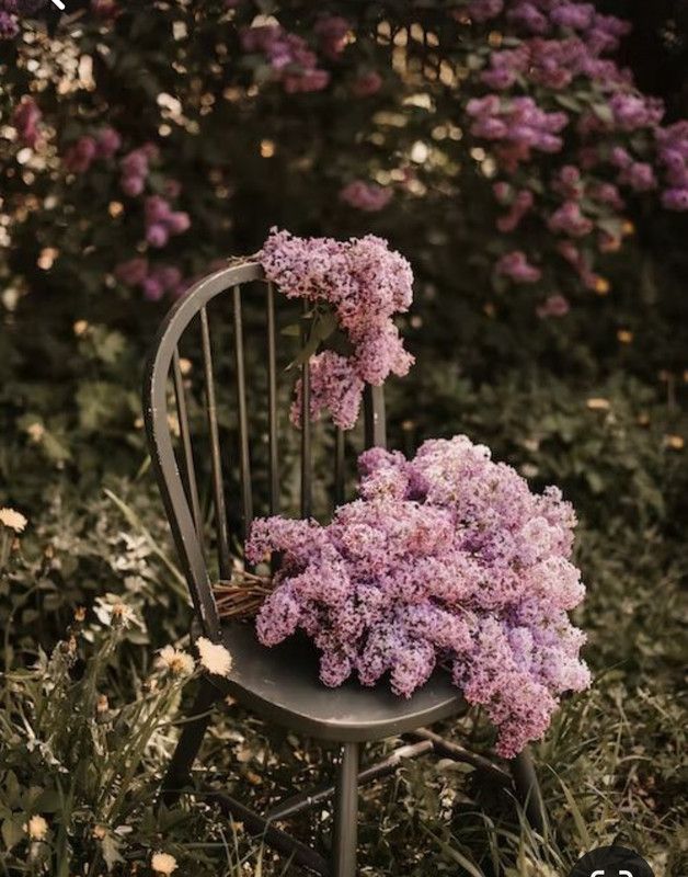 Screenshot_20240331_004356_Pinterest