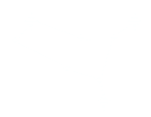 gemini.png