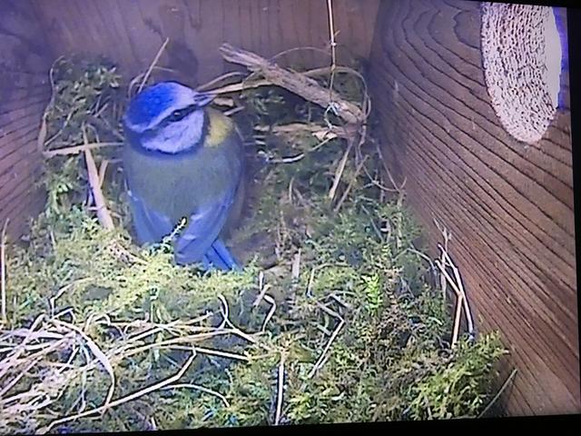 CD2602C5-3450-48CF-819E-130006481560