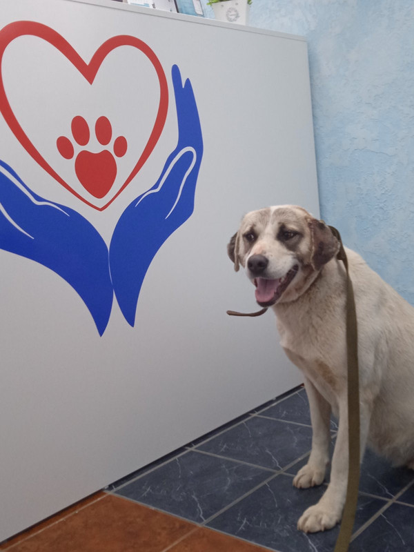 IMG-84188912dda4c079df0f9e460cbf83cc-V