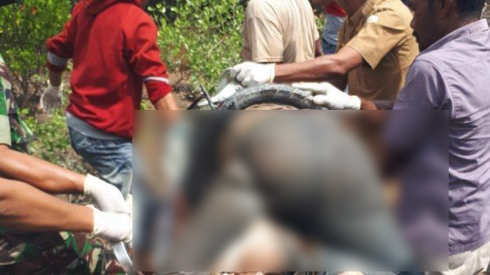 Mayat lelaki ditemukan warga di sungai Dusun Cempaka, Gampong Geulumpang Payong, Sungai Raya, Aceh Timur, Selasa (1/10/2019). 
