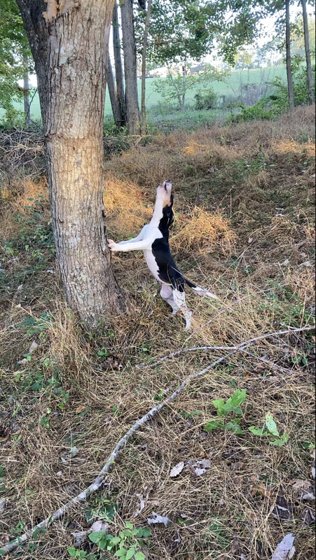 CA0FF235-CEE0-47A1-8736-B97ECE9B8C28