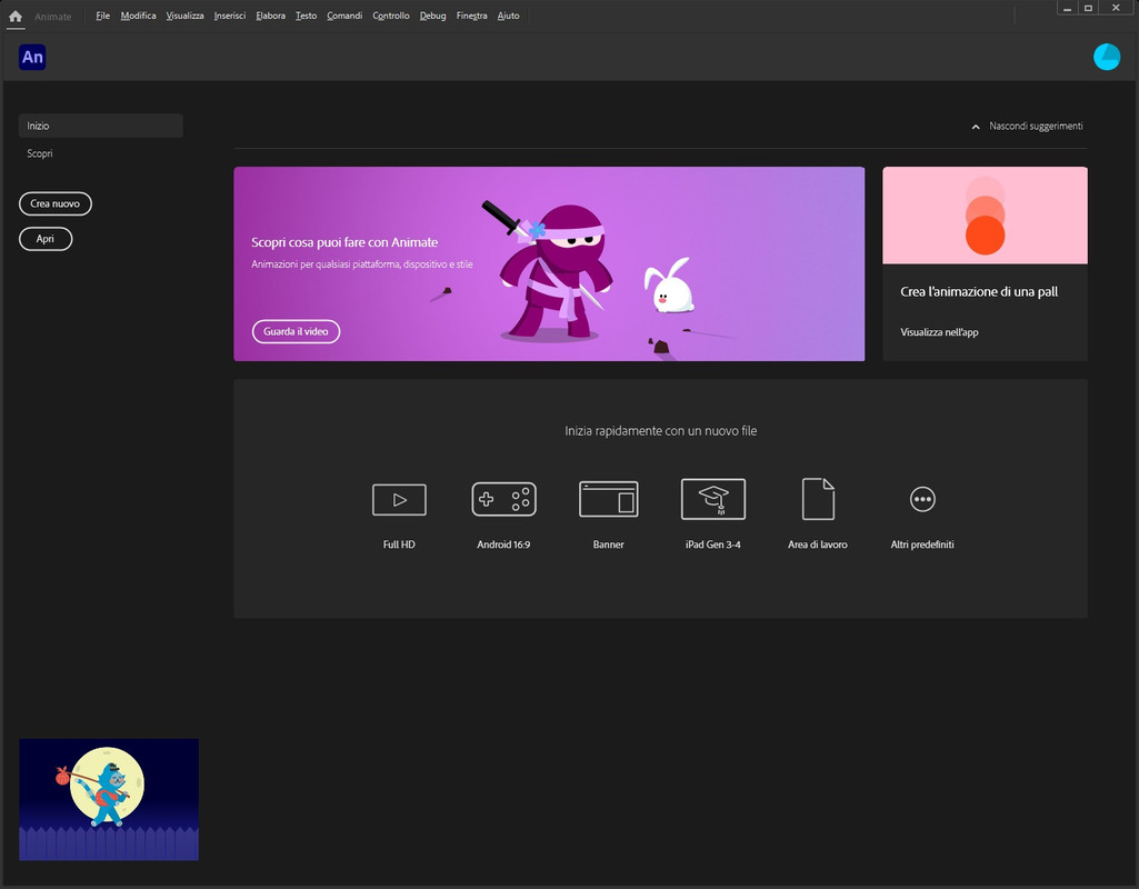 Free instal Adobe Animate 2024 v24.0.0.305 busterhopu