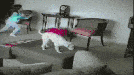 210804-1-gifdump28-49.gif