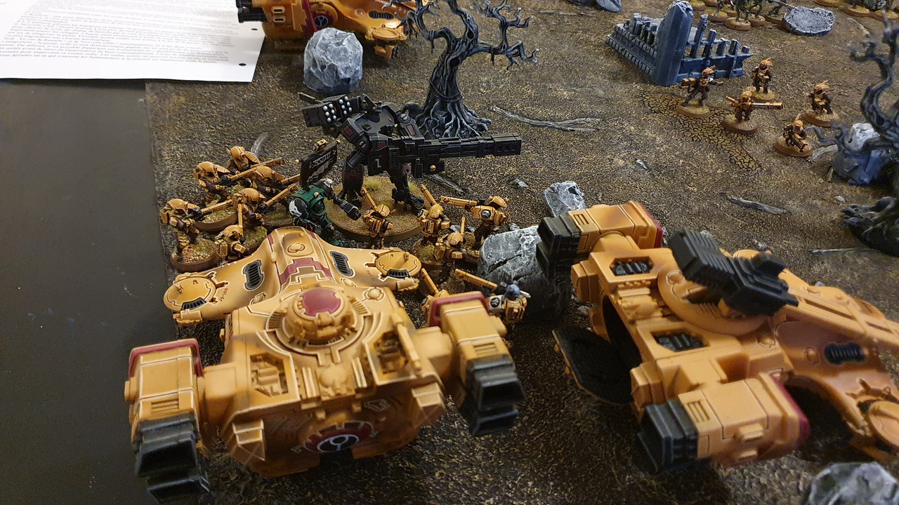 20211101_Salamanders_Taus (29)