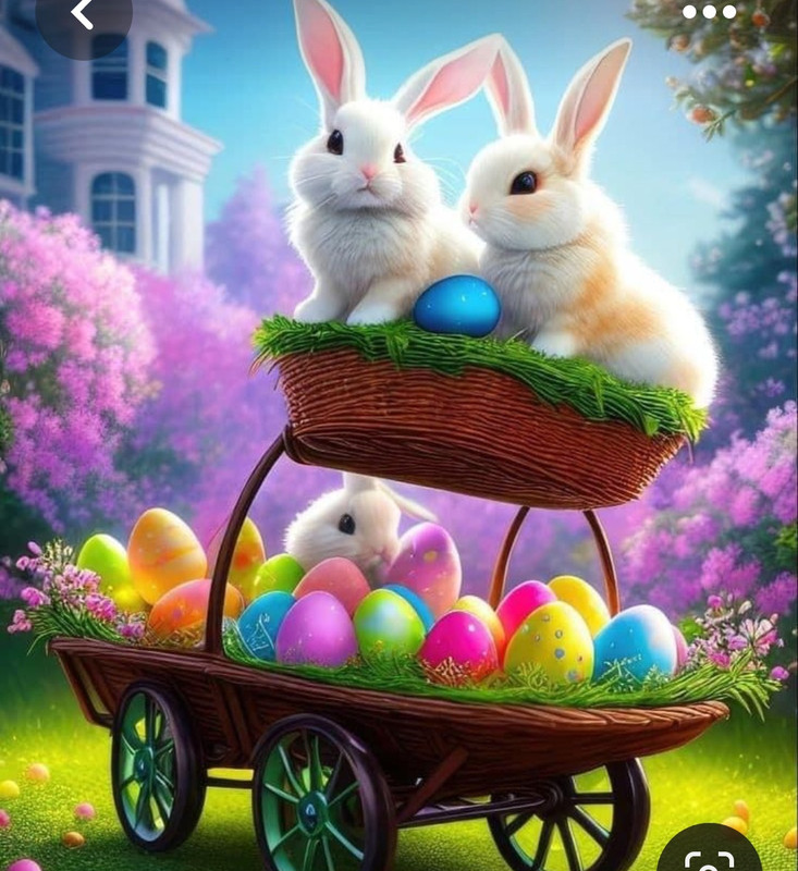 Screenshot_20230416_004641_Pinterest