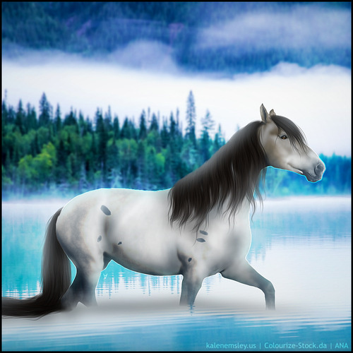 rsz-horse-avi-20240923204948.jpg