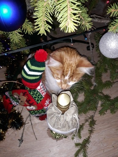 С наступающим) С наступающим)