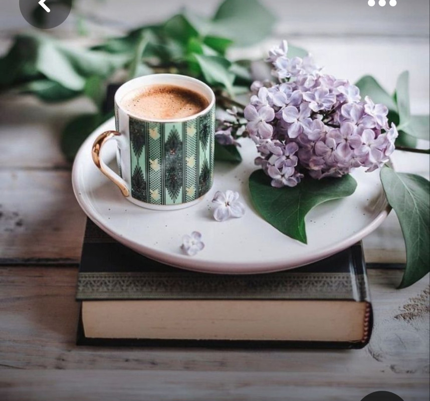 Screenshot_20230517_001128_Pinterest