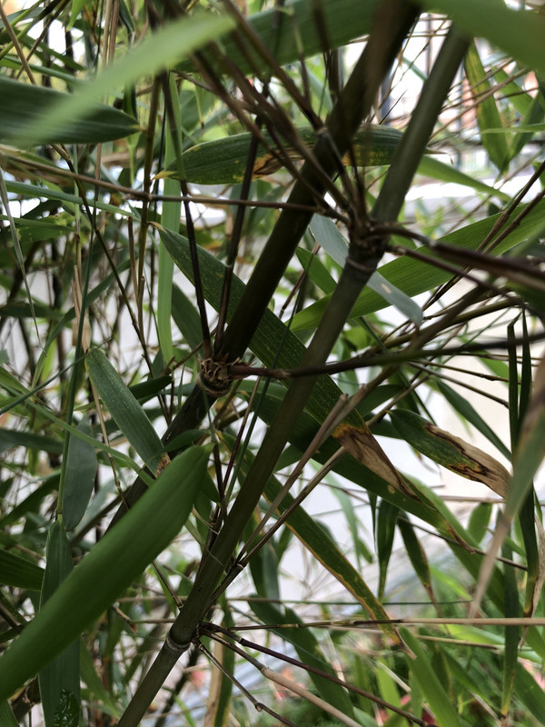 8ED65C38-5AF8-481F-93DF-7D20213E072D