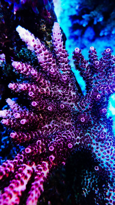 1700BDD8-3CA2-4370-8247-C9ED4AC635BE